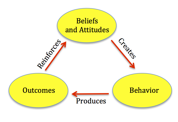 Beliefs Behaviour Outcome Cycle